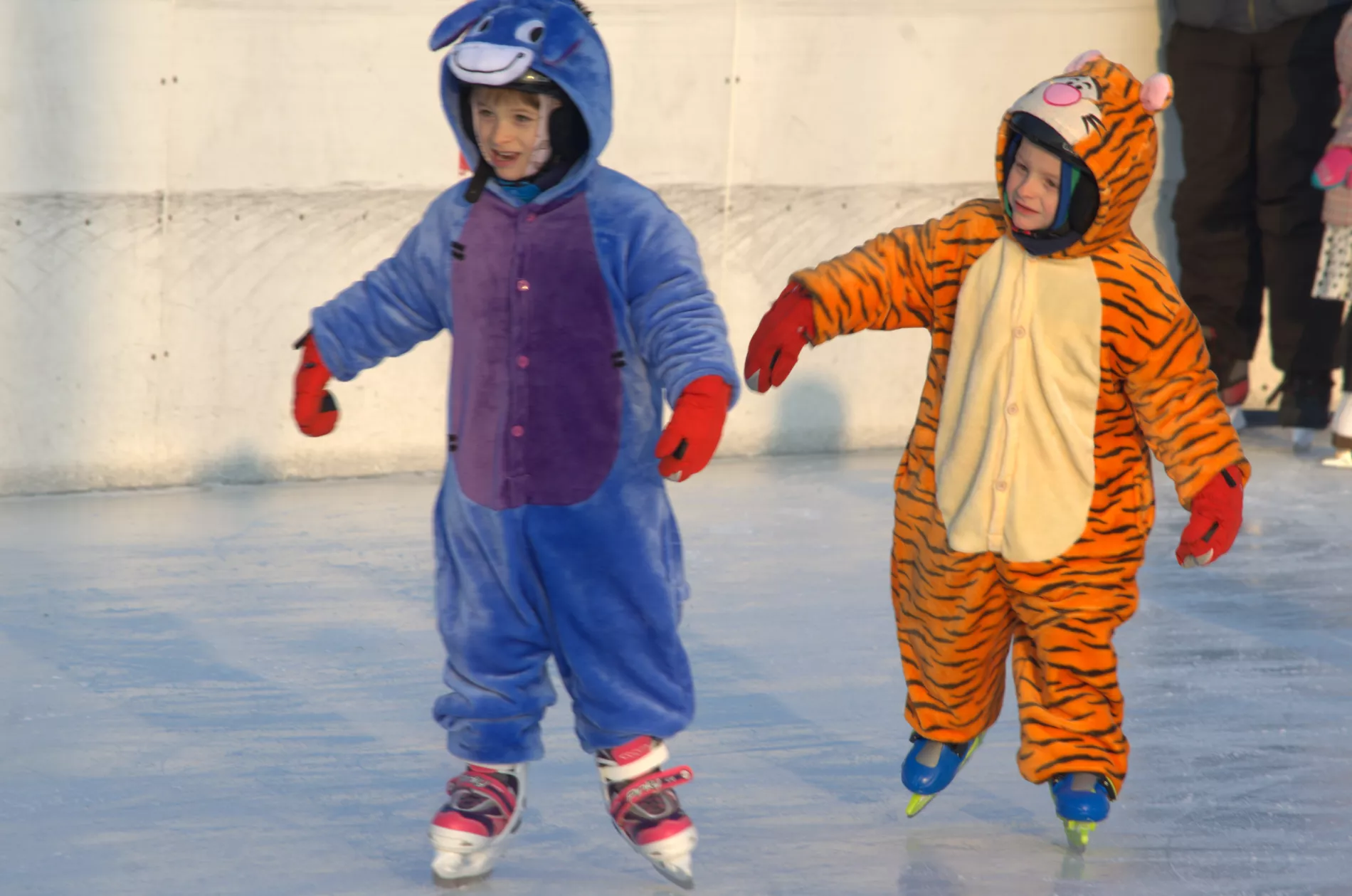 Karneval na ľade 2017